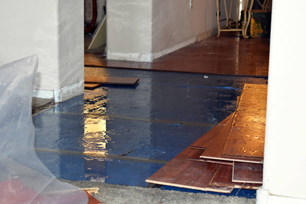 Professional Water Damage technician working in Asher, OK